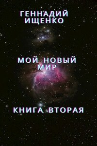 Мой новый мир - Книга вторая