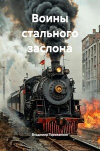 Воины стального заслона