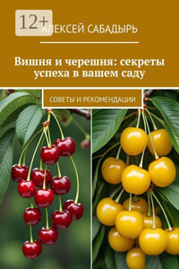 Вишня и черешня: секреты успеха в вашем саду. Советы и рекомендации
