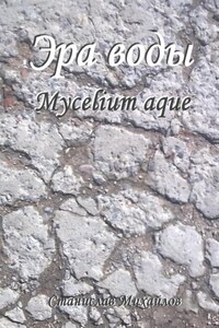 Эра воды. Mycelium Aque