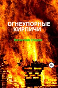 Огнеупорные кирпичи