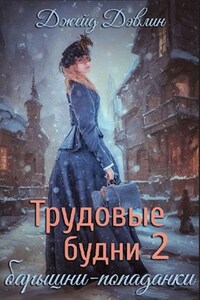 Трудовые будни барышни-попаданки 2