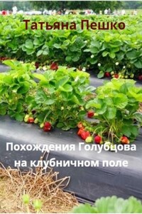 Голубцов на клубничном поле