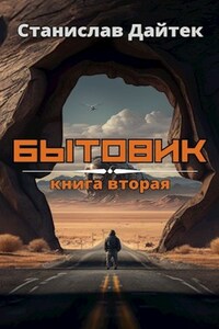 Бытовик. Книга вторая.