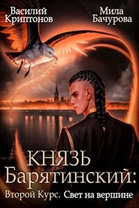 Князь Барятинский. Второй курс. Свет на вершине