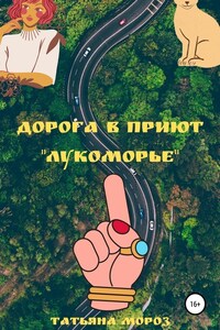 Дорога в приют «Лукоморье»