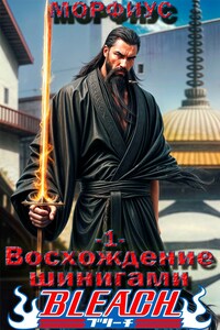 Блич. Восхождение шинигами
