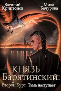 Князь Барятинский. Второй курс. Тьма наступает