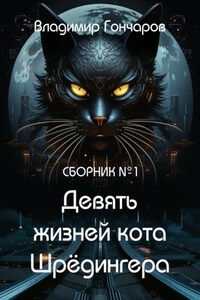 Девять жизней кота Шрёдингера