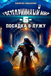 Книга шестая. Посадка в лужу