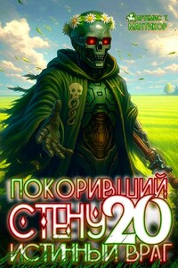 Покоривший СТЕНУ 20: Истинный враг