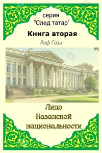 Лицо Казанской национальности. Книга вторая