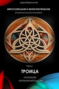 Миросозерцание и Жизнечувствование (практическая метафизика). Часть I. Троица. Платон, опрокинутый в жизнь