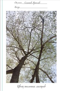 Цвет пыльных листьев