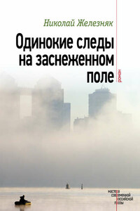 Одинокие следы на заснеженном поле