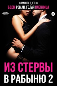 БДСМ роман. Голая пленница. Из стервы в рабыню 2