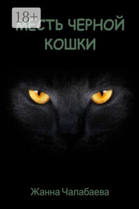 Месть черной кошки