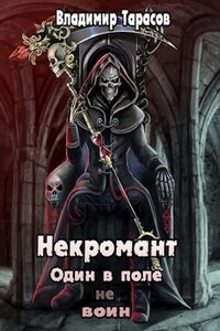 Некромант. Один в поле не воин. Книга 1