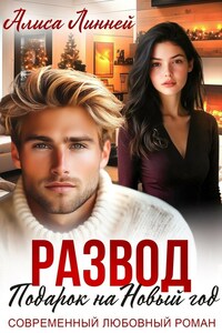 Развод. Подарок на Новый год