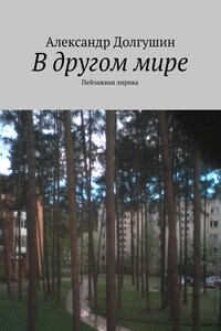 В другом мире