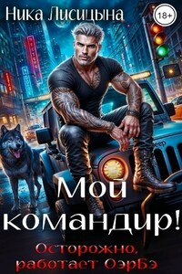 Мой командир!