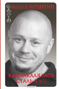 Как закалялась сталь – 2 и ½