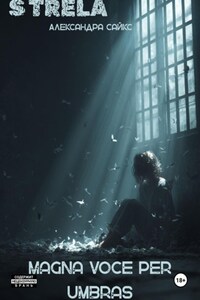 Magna voce per umbras