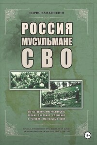 Россия, мусульмане, СВО. Отечественное мусульманское военно-духовное служение в условиях ментальных войн