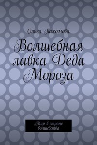 Волшебная лавка Деда Мороза. Мир в стране волшебства