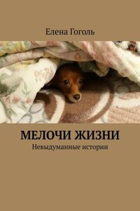 МЕЛОЧИ ЖИЗНИ. Невыдуманные истории