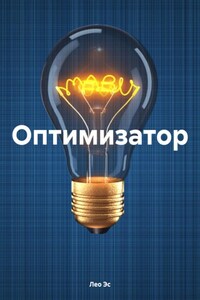 Оптимизатор