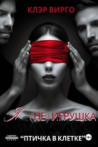 Я (не) игрушка