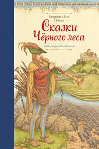 Сказки Черного леса (сборник)