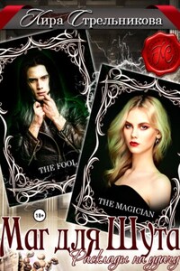 Маг для Шута. Расклады на удачу