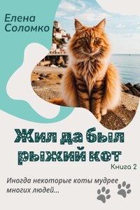 Жил да был рыжий кот