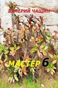 Мастер 6