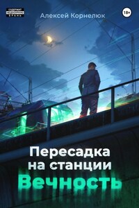 Пересадка на станции «Вечность»