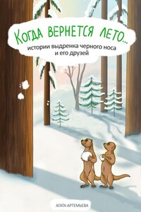 Когда вернется лето…