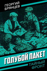 Голубой пакет