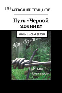 Путь «Черной молнии». Книга 1. Новая версия