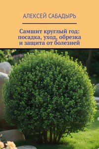 Самшит круглый год: посадка, уход, обрезка и защита от болезней
