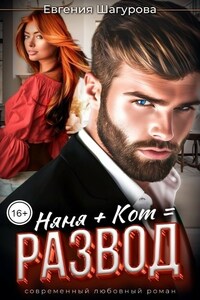 Няня плюс Кот равняется Развод