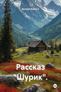 Рассказ «Шурик».