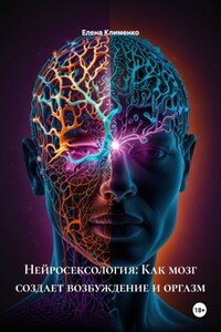 Нейросексология: Как мозг создает возбуждение и оргазм