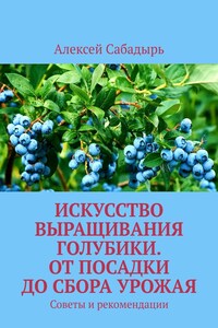 Искусство выращивания голубики. От посадки до сбора урожая. Советы и рекомендации