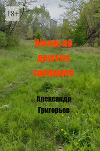 Жизнь по другому сценарию