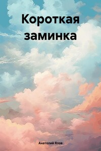 Короткая заминка