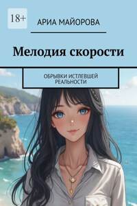 Мелодия скорости. Обрывки истлевшей реальности