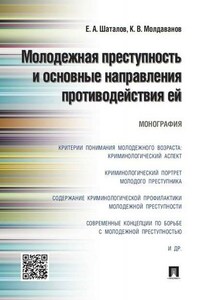 Молодежная преступность и основные направления противодействия ей. Монография