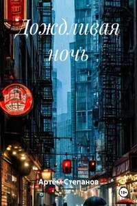 Дождливая ночь